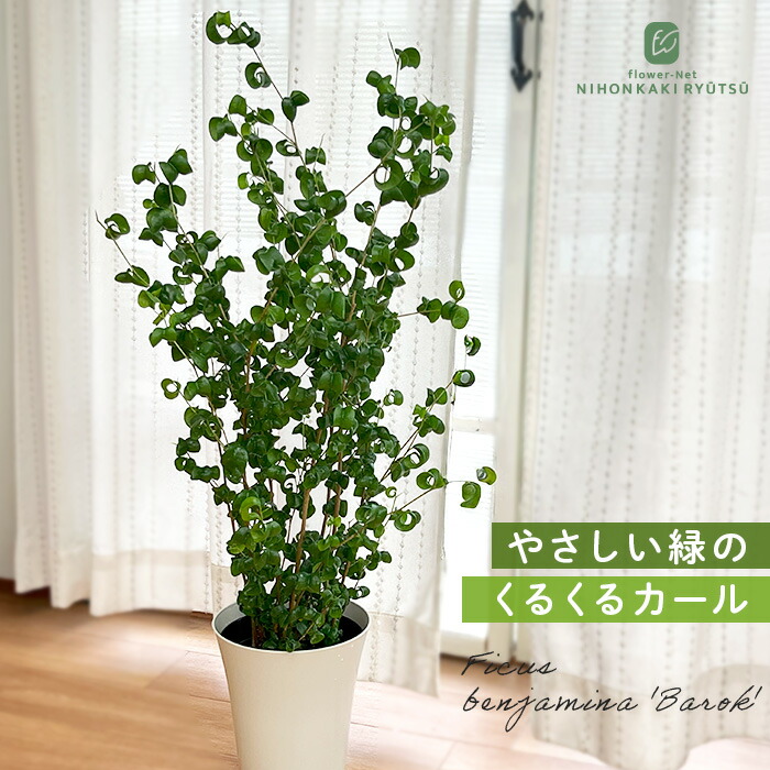 【中古】 最高の花嫁候補/ハーパーコリンズ・ジャパン/ジャスミン・クレスウェル 最高の花嫁候補 (ハーレクイン・クラシックス 750) | ジャスミン