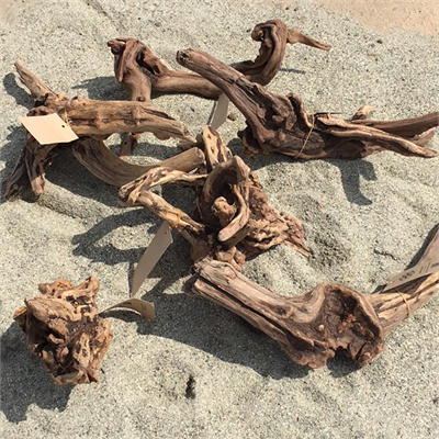 楽天市場】プレミアム流木 マングローブ系 形状お任せ レイアウト素材