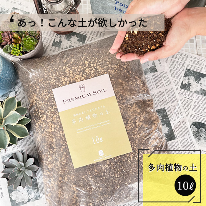 ❤️確認用❤️★D ミックスベリア❤️ストロベリーミルククラウン❤️抜き苗♪札なし 楽天市場】多肉植物 oriミックスベリア No.005 ストロベリー