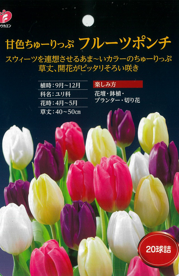 予約販売 福花園 球根 チューリップ 甘色ちゅーりっぷ フルーツポンチ 16球 MIX ミックス 10月中旬以降発送 値引き