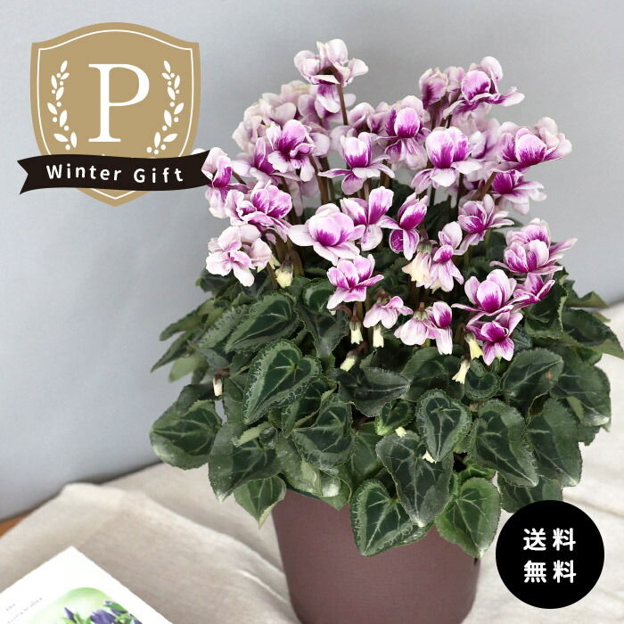 30108_1.jpg 30108_1.jpg