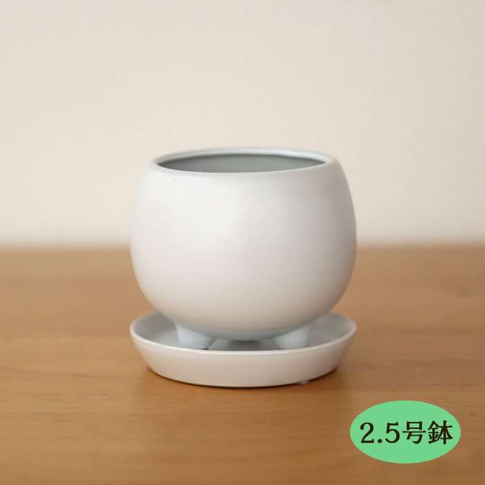 楽天市場】資 HA-4382S WB 5号つぼ型 受皿付 陶器 鉢 植木鉢