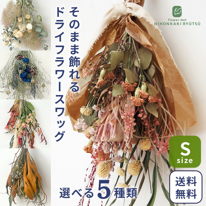 楽天市場】ドライフラワー キングプロテア ピンク インテリア