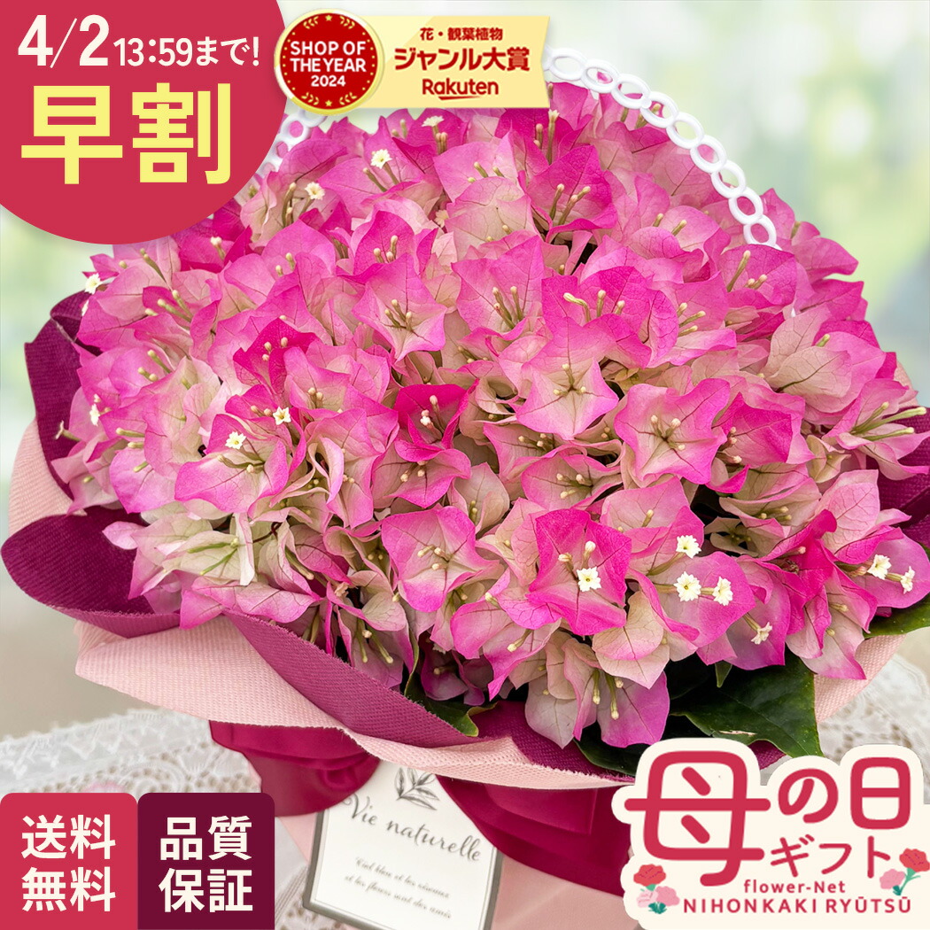 楽天市場】【花終わり】ブーゲンビリア カリフォルニアオレンジ 4号苗