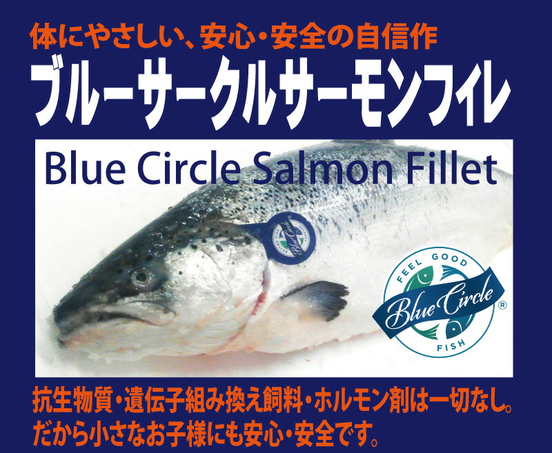 楽天市場 ブルーサークルサーモン フィレ 養殖アトランティックサーモン 4枚切れ 計1 3 1 7kg 送料無料 活物専門商社 魚活 日本活魚