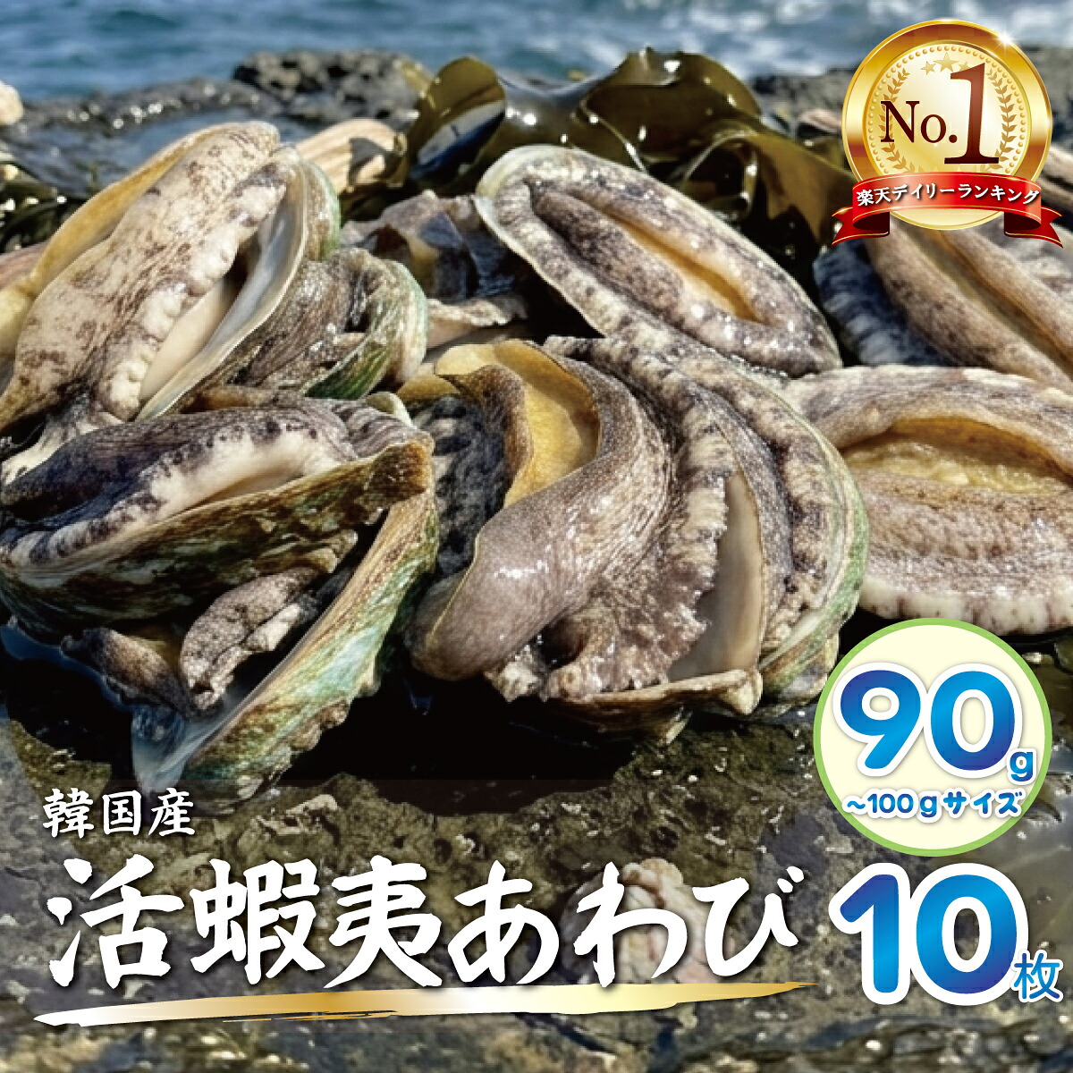 【楽天市場】【活蝦夷あわび 90/100g】10枚入 送料無料 活あわび 刺身用 高級 海鮮 贅沢 ご褒美 グルメ 記念日 お取り寄せ BBQ パーティ 祝い 内祝い 誕生日 お中元 お歳暮 ギフト プレゼント 韓国産養殖:活物専門商社【魚活】(日本活魚)