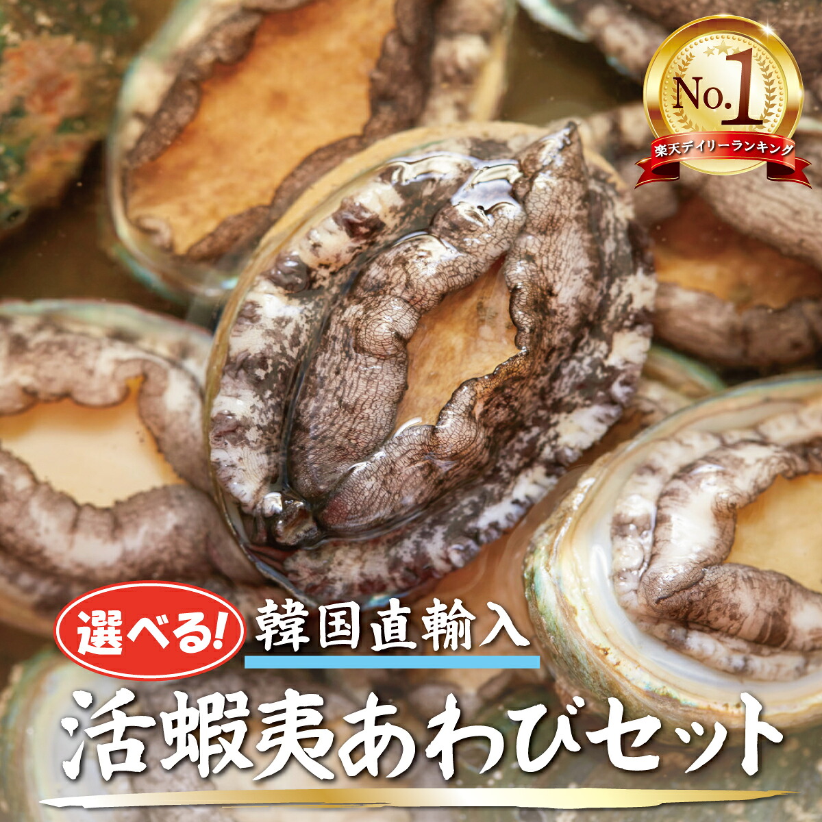 【楽天市場】【 活き蝦夷あわびセット】お買い得 活あわび 刺身用 海鮮 贅沢 ご褒美 グルメ 母の日 父の日 お中元 お歳暮 BBQ ギフト プレゼント お取り寄せ 韓国産養殖:活物専門商社【魚活】(日本活魚)