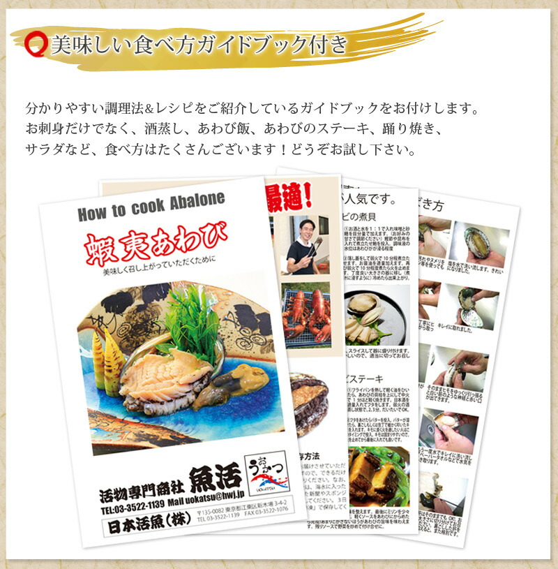 活蝦夷あわび 1 130g 6枚入りぐち に お中元 お歳暮付け届けにも最適送料無料 Cannes Encheres Com