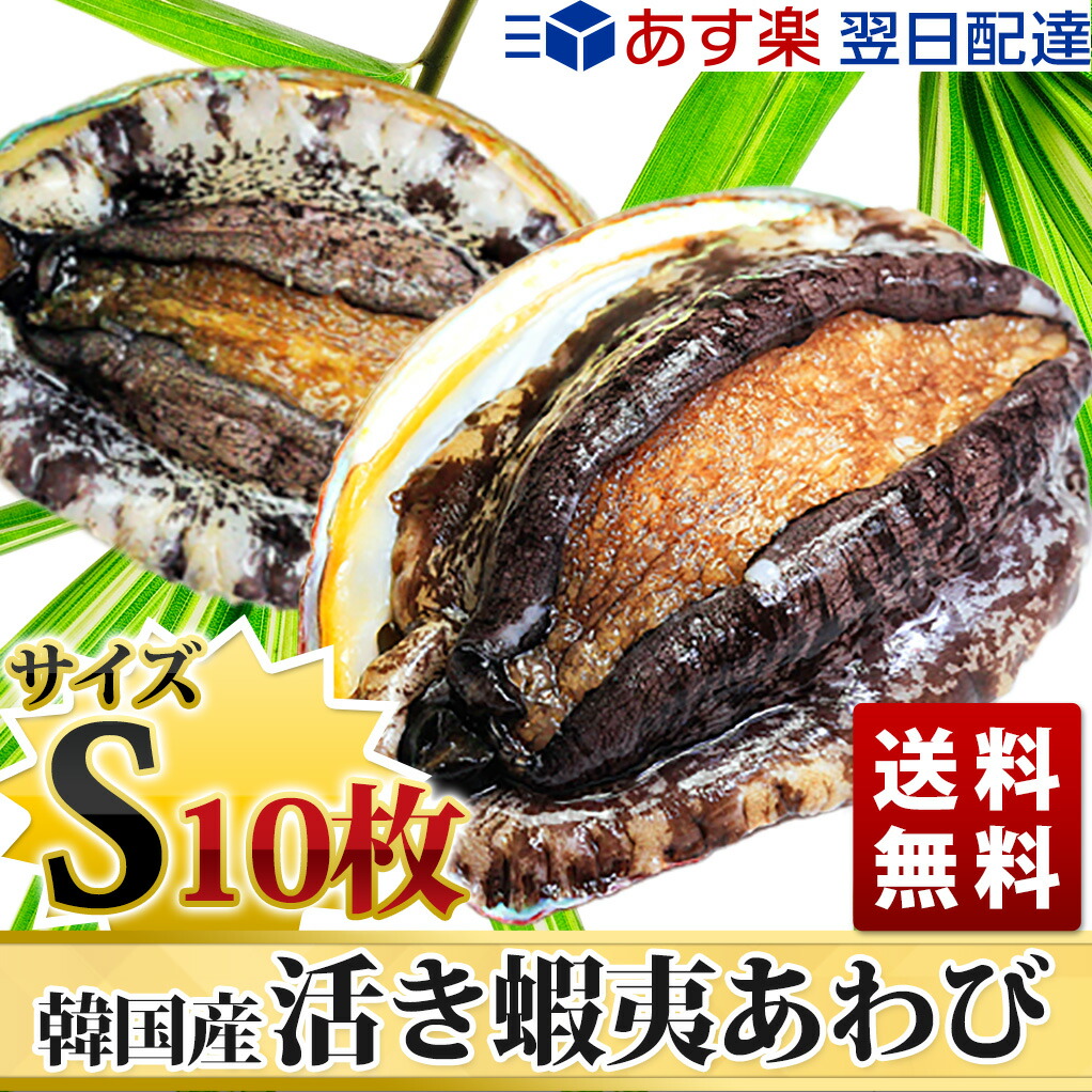活蝦夷あわび(50/60g)10枚入BBQに!お歳暮ギフトにも最適! 活蝦夷あわび(50/60g)10枚入BBQに!お歳暮ギフトにも最適!