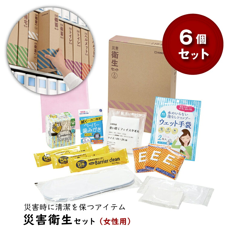 【まとめ買い】キングジム KING JIM 災害衛生セット 女性用 6個セット HGS-300｜地震 防災 清潔 避難時 対策セット 簡易トイレ ドライシャンプー 生理用品 歯磨き 備蓄品 おしぼり マスク ティッシュ 非常用 家庭 オフィス 被災 A4サイズ｜