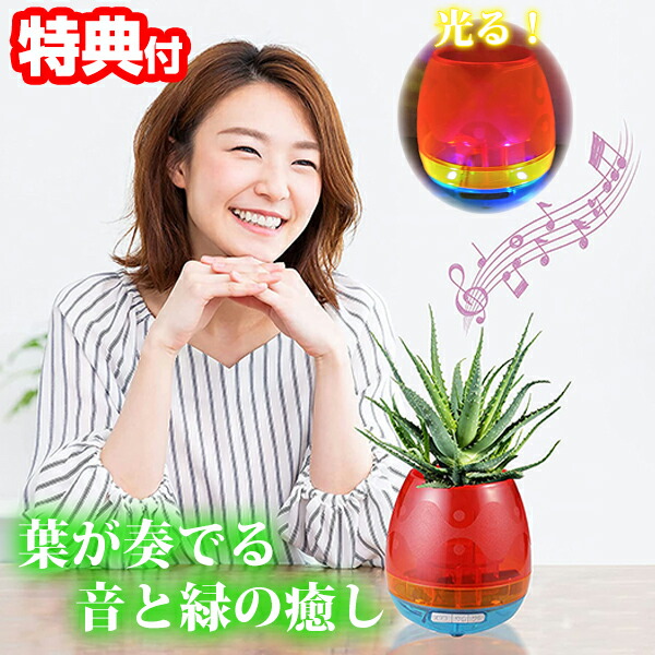 【ポットスタンド】ルクルーゼや観葉植物にオススメ！【24時間以内に発送】 staub製品ではないけど・・・ - LE CREUSET ル・クルーゼ ポット