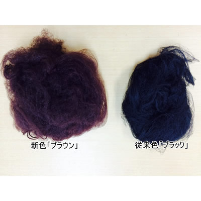 楽天市場 クーポン配布中 髪束ねネットセット アシアナネット 豪華50枚入 ヘアアレンジ まとめ髪 お団子ヘアー 髪用ネット 3個以上購入で送料無料 日本ネット通販 健康器具 美顔器