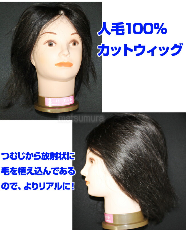 楽天市場 敬老の日 カットモデル 人毛100 カット練習用 カットウィッグ カットウィック カットマネキン 散髪練習 美容室 美容院 美容師練習 送料無料 日本ネット通販 健康器具 美顔器