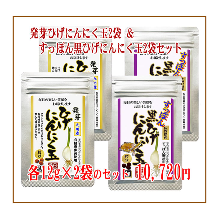 7289円 最大60％オフ！ にんにく玉 ニンニク にんにく ひげにんにく 無添加 無農薬 健康食品 国産 佐賀県産 九州産 サプリメント サプリ  手作り 匂わない 香り 美容 粒 ミネラル