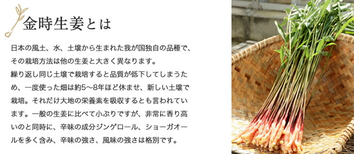 【熟成・発酵黒ひげにんにく玉12g&金時生姜ひげにんにく卵黄12gセット】にんにく玉ニンニクにんにくひげにんにく無添加無農薬健康食品国産佐賀県産九州産サプリメントサプリ手作り匂わない香り美容粒ミネラル【送料無料】