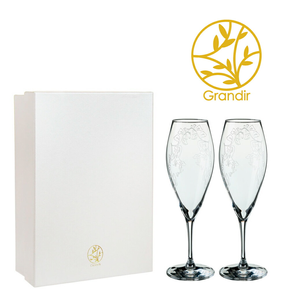 保障できる 高級ワイングラス 5点セット シャンパン グラス 国内正規品 Www Eatforhealth Gr