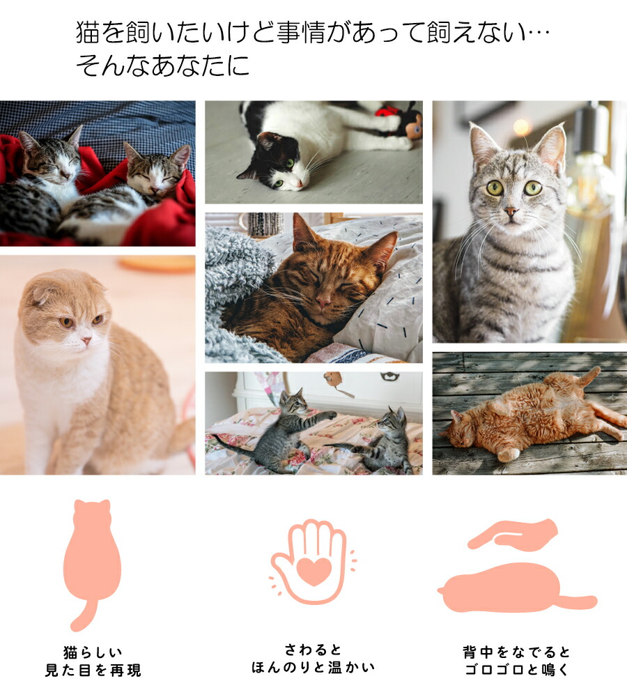 楽天市場 クーポン配布中 Meowever ミャウエバー グレー 黒 クッション ぬいぐるみ 猫 かわいい リアル ゴロゴロ鳴く ゆたんぽ 癒し ネコ ぬいぐるみ 湯たんぽ モフモフ メンズ レディース キッズ 男性用 女性用 子ども用 男女兼用 ネコ 猫ちゃん ネコちゃん 可愛い 8