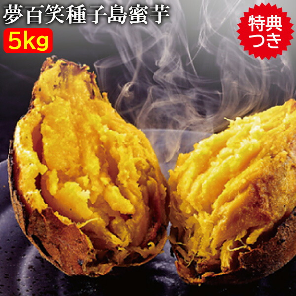 適切な価格 蜜芋 種子島 夢百笑 安納芋 ｓサイズ 約34個 国産 種子島蜜イモ 種子島蜜いも 種子島芋 種子島蜜芋 鹿児島県産 蜜 甘い イモ 甘い芋 石焼きいも 子供も喜ぶ 干し芋 石焼いも Balance Life Gr