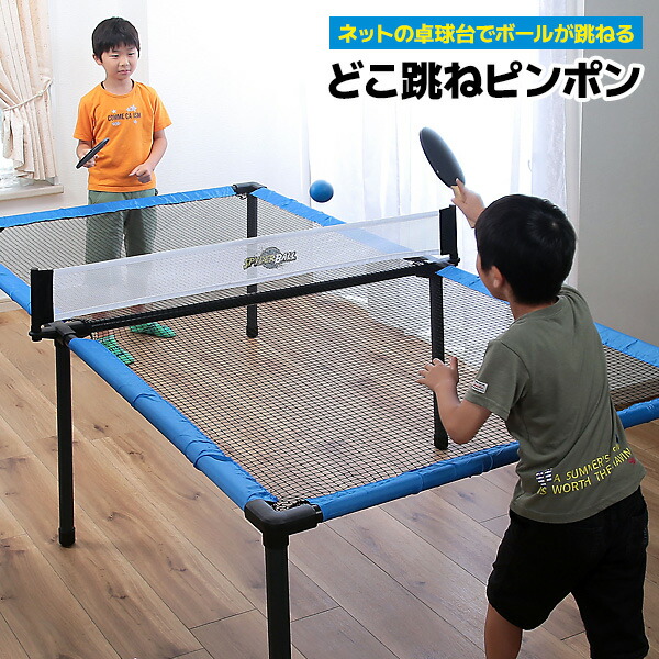 楽天市場】どこ跳ねピンポン ネット仕様卓球台 ラケットボール付 室内