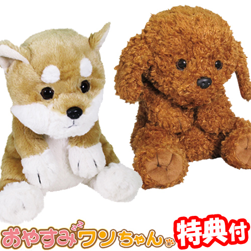 バズ アイザック 設置 おもちゃ 柴犬 Adobe Gakuwari Jp
