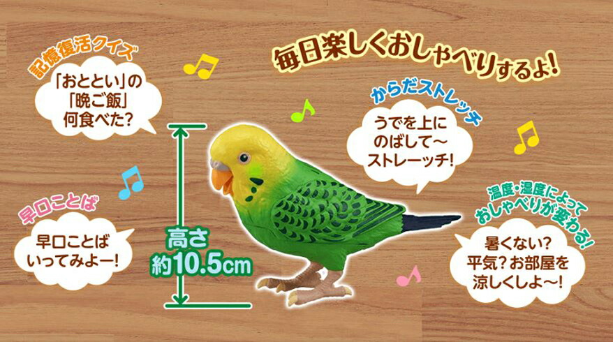 楽天市場 クーポン配布中 毎日おしゃべり 天才インコちゃん 音声認識人形 お話し人形 おしゃべりロボット 毎日お喋り しゃべる人形 天才インコチャン おもちゃ 誕生日 プレゼント 敬老の日 ギフト 脳トレ 日本通販 扇風機 冷風扇 足温器