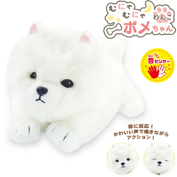 楽天市場】むにゃむにゃわんこ ポメちゃん[音声 ぬいぐるみ 犬