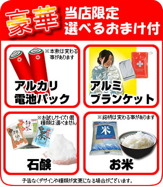 【選ぶ景品付き】磁気クッションmagminプロMM-E52枕マグミン管理医療機器磁気治療機磁気枕まぐ眠プロマグ眠カバー付きフェライト磁石安眠枕まぐみんメディカルピローMAGMINPRO磁気マクラ磁石マクラ首枕S字ストレートネックMM-E52YPMM-E52PD