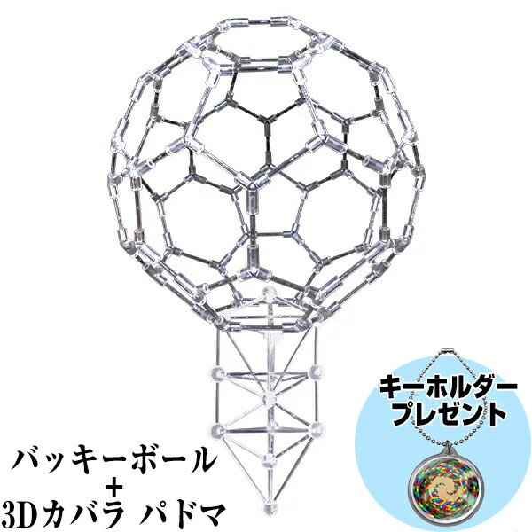 楽天市場】【9/5限定2人に1人最大100%P】模型 バッキーボール
