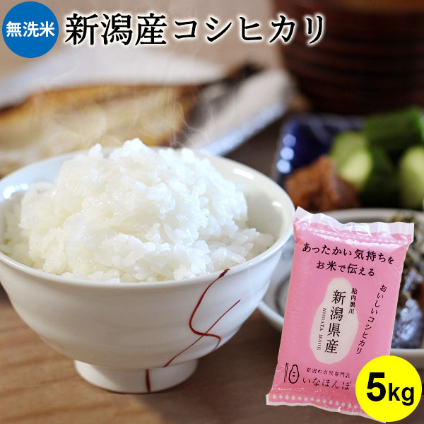 タレントグッズ 最終値下げ 和田雅成 さん サイン色紙 バースデー