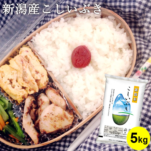 こしいぶき 2kg×5 おうちでイオン イオンネットスーパー 新潟県産 こしいぶき 2kg
