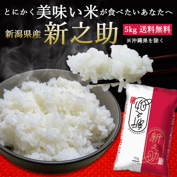 新潟産新之助 ｜米 5kg 送料無料 新潟 白米 お米 しんのすけ 新潟 ブランド米 ギフト 内祝 お返し お祝 贈答品 贈り物 プレゼント 賞品 景品 お礼