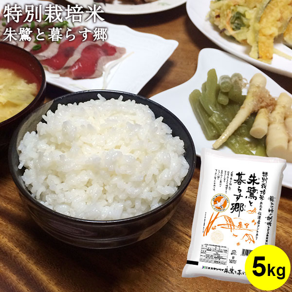 特別栽培米 朱鷺と暮らす郷 ｜米 お米 5kg 送料無料 コシヒカリ新潟 こしひかり 白米 佐渡産コシヒカリ 新潟 減農薬 減肥料 令和6年産