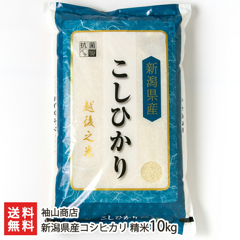 【令和元年度米】新潟産 コシヒカリ 精米10kg(5kg&times;2) 袖山商店 米屋の蔵出し米【新潟産こしひかり/白米】【贈り物・内祝いに！のし（熨斗）無料】