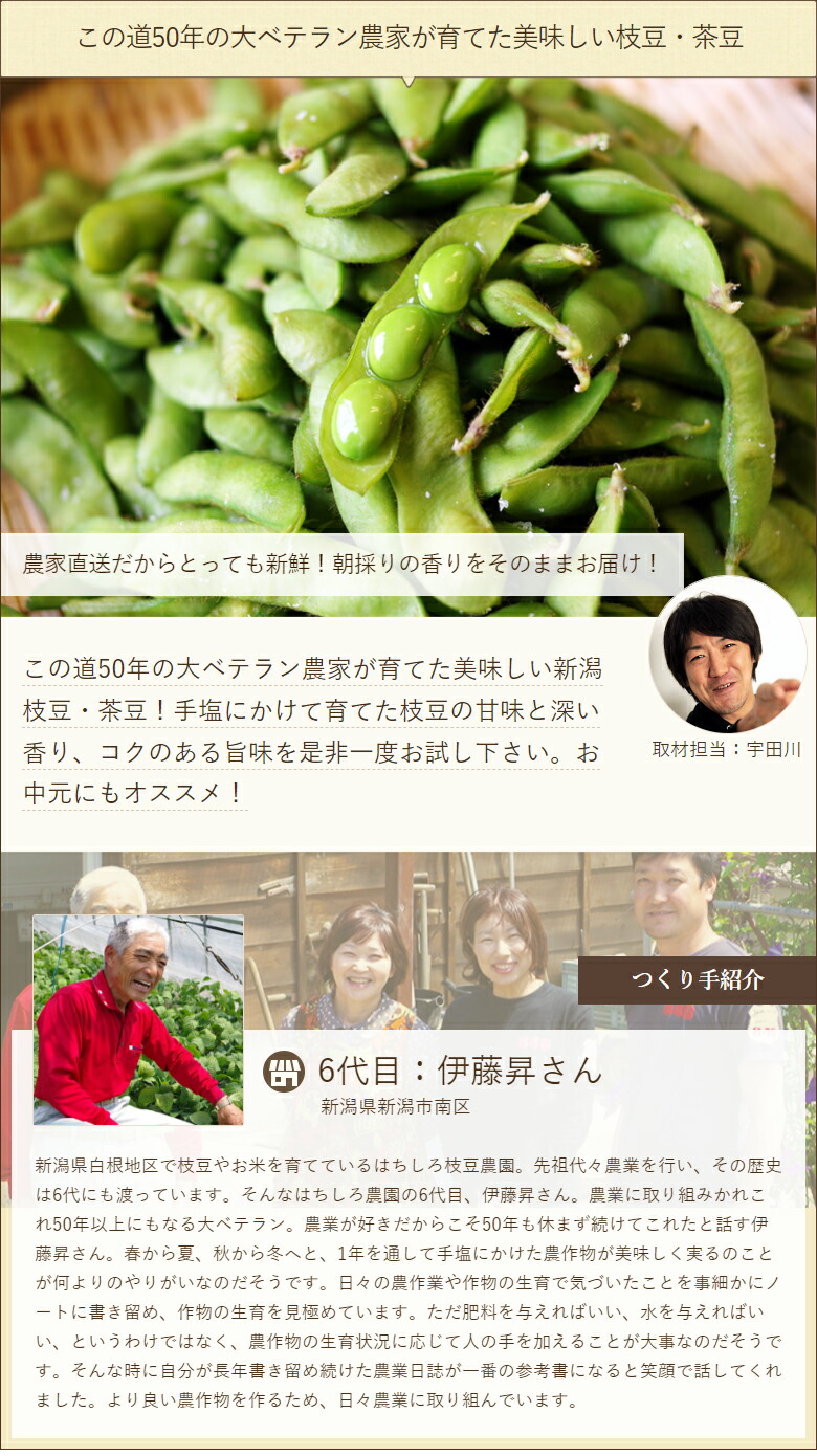 市場 早生豆1 5kg えだ豆 おつな姫 枝豆 産地直送 いきなまる はちしろ枝豆農園 お取り寄せグルメ 250g 6袋 えだまめ 市場 早生豆1 5kg えだ豆 おつな姫 枝豆 産地直送 いきなまる はちしろ枝豆農園 お取り寄せグルメ 250g 6袋 えだまめ