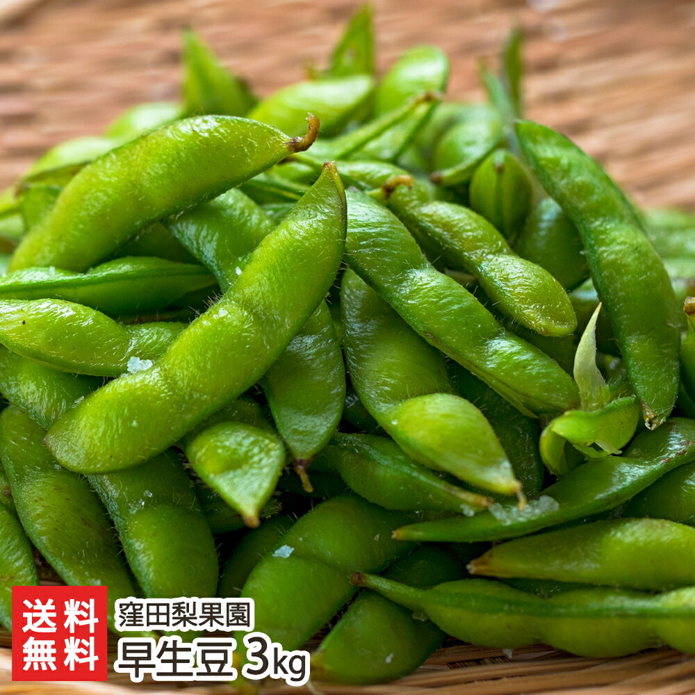 わさび枝豆 300g×10袋 D-3 お買い得品