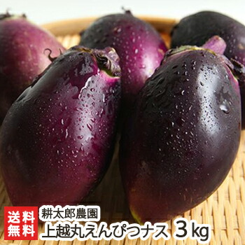恵比寿 茄子 置物　なすびをもったえびす様 好運呼び込む 純金メッキ 恵比寿 ( 桐箱入 24Kメッキ ) 寿台座