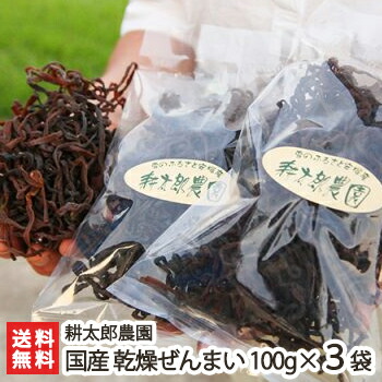 徳島産天然物　肉厚乾燥ぜんまい　1kg　極太　新物　野菜　ゼンマイ　山菜　乾燥物 徳島産天然物 肉厚乾燥ぜんまい 超極太上物 300g 山菜ゼンマイ