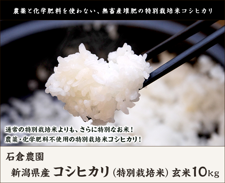 まさたか様専用 新米 無農薬コシヒカリ玄米20kg(5kg×4)令和4年徳島県産