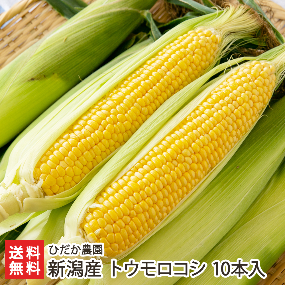 【楽天市場】新潟県産 トウモロコシ 20本入（目安：1本あたり約 