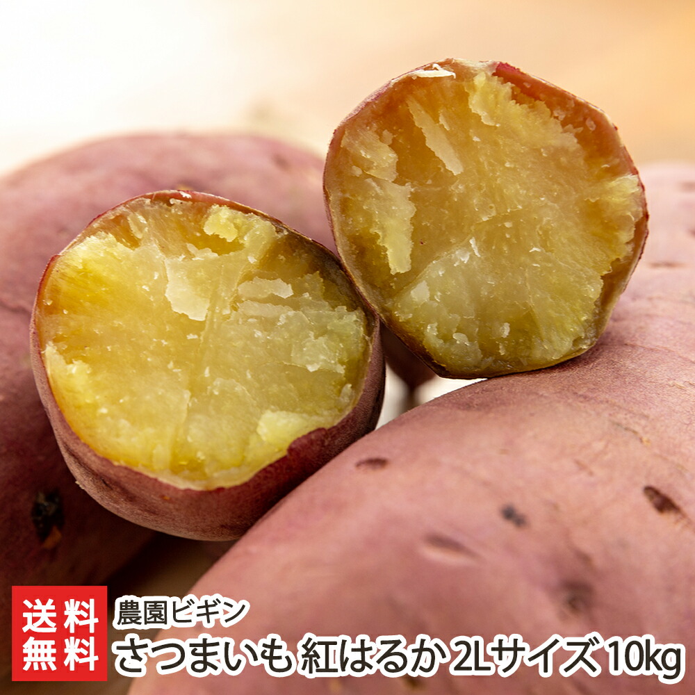さつまいも 紅はるか 2lサイズ 10kg 農園ビギン 産地直送 送料無料 新潟直送計画 さつま芋 サツマイモ 薩摩芋 新潟産 ほくほく感としっとり感を両方堪能できるさつまいも 紅はるか 2ヶ月間一定の温度と湿度の中で熟成させ 甘み抜群 スイーツの素材や焼き芋 ご飯のおかず