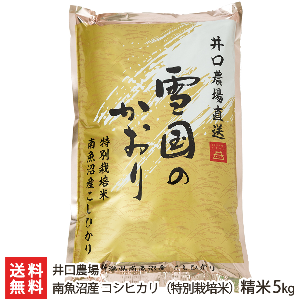 法人様価格 特別栽培米 精米20kg 減農薬 有機肥料 R2年 コシヒカリ 米