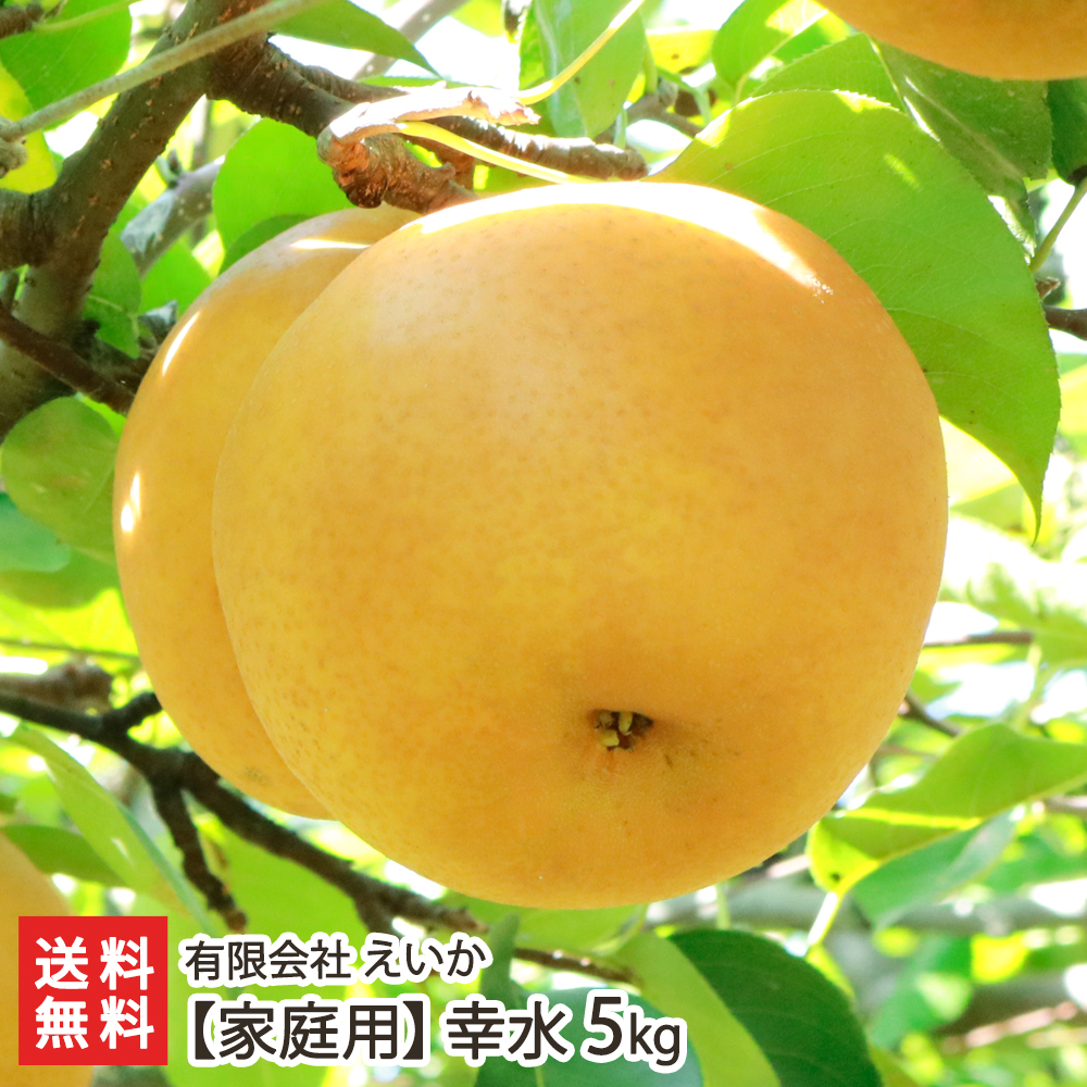 和梨を産地直送でお取り寄せ おすすめランキング 1ページ ｇランキング