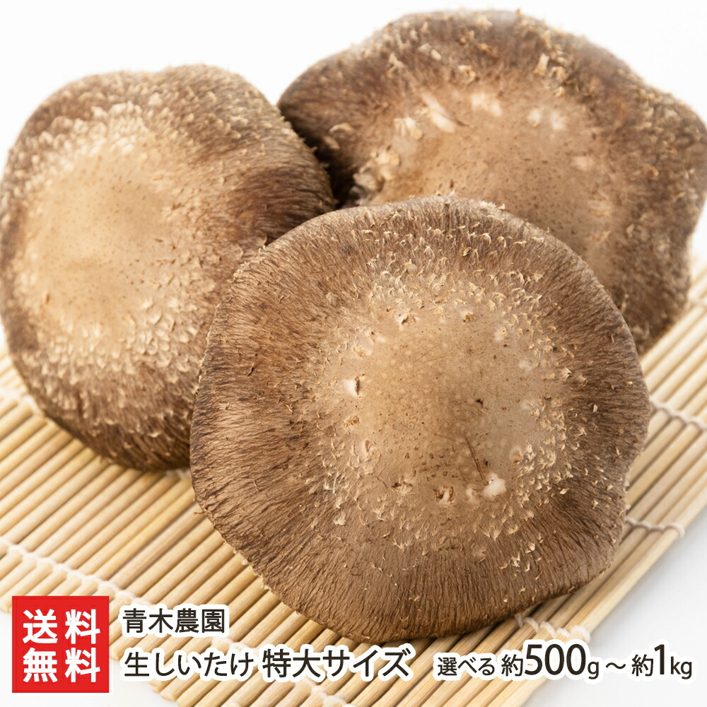 しいたけ 鳥取茸王 金ラベル茸王 原木生しいたけ 椎茸 品種115 2パック
