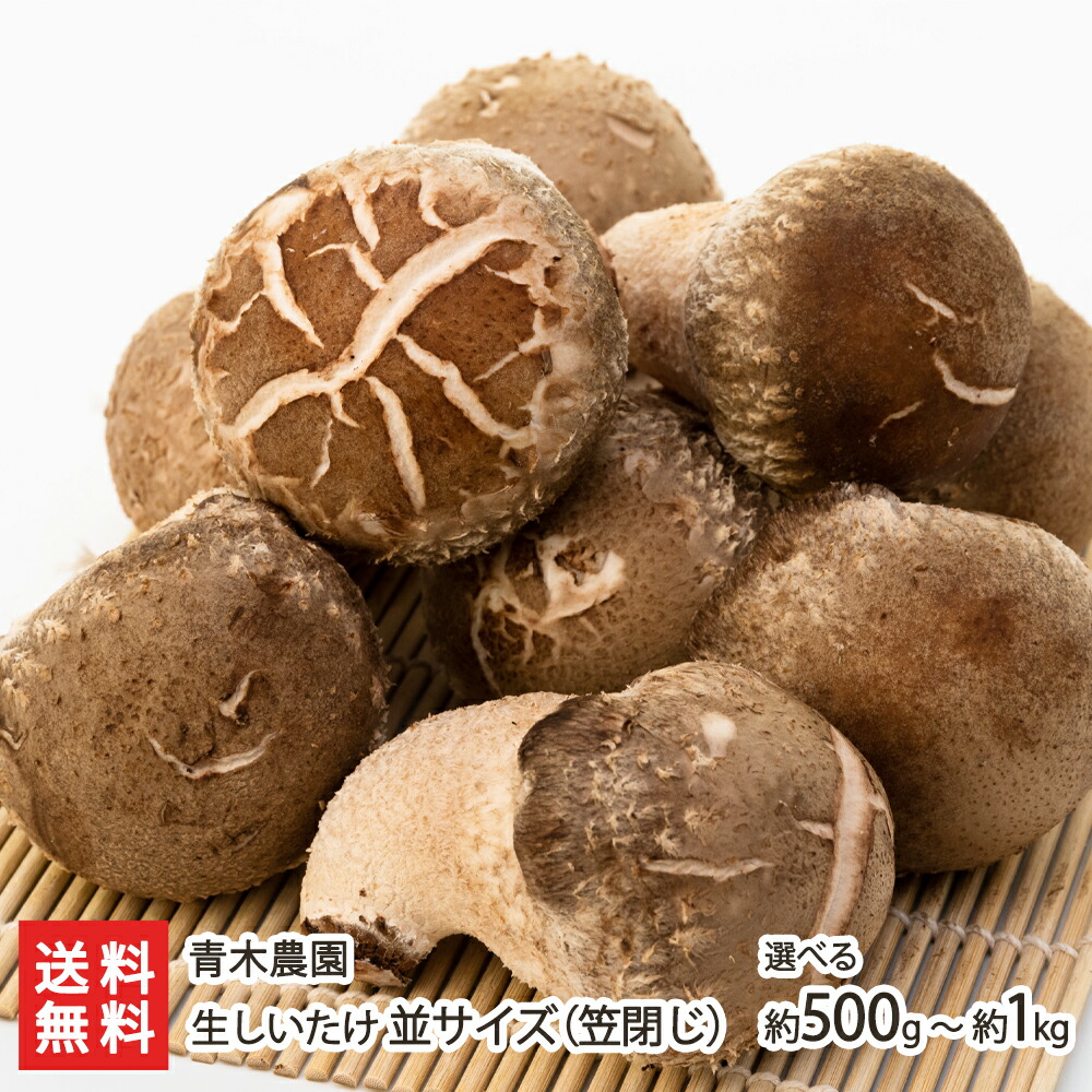 送料無料 日本 楽天市場】新潟産 生しいたけ 特大サイズ 選べる 約500g( 約5〜7 野菜