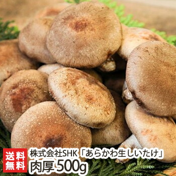 楽天市場】新潟産【特選】あらかわ生しいたけ 5パック（約800g） 化粧