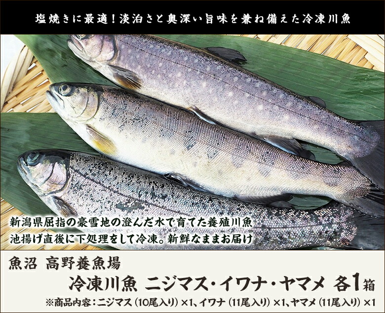 新潟産 冷凍川魚 ニジマス イワナ ヤマメ 各1箱 ニジマス12尾 イワナ11尾 ヤマメ11尾 魚沼 高野養魚場 虹鱒 山女魚 にじます やまめ 養殖 下処理済 ギフトに 贈り物 内祝いに のし 熨斗 無料 送料無料 Kanal9tv Com