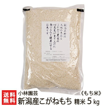 令和6年度産米  新潟産こがねもち（もち米）精米5kg【新潟県産/新潟米/コガネモチ/モチ米/餅米/精白米/白米】【送料無料】