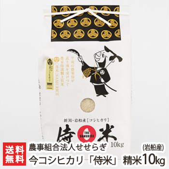 【令和7年度米】岩船産 今コシヒカリ「侍米」 精米10kg 農事組合法人せせらぎ G-GAP認証【白米/うるち米/新潟県産/こしひかり】【お土産/手土産/プレゼント/ギフトに！贈り物】【送料無料】