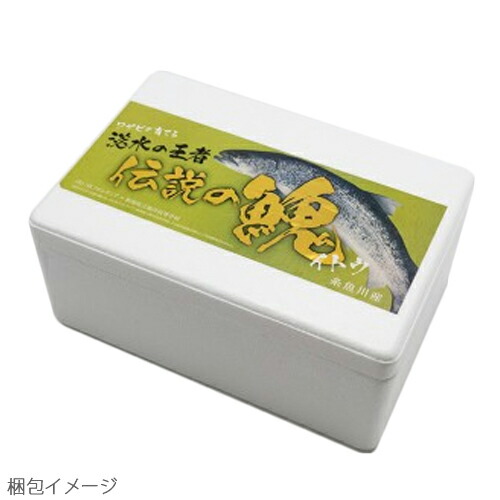 糸魚肉川 河産む イトウ 半身 Sk辺隅 新潟 糸魚川 新潟県産 卵白魚 刺身 生食可 培う 料理矩則様々 空想の淡水魚 川のトロ 送料無料 Clandestinemood Com