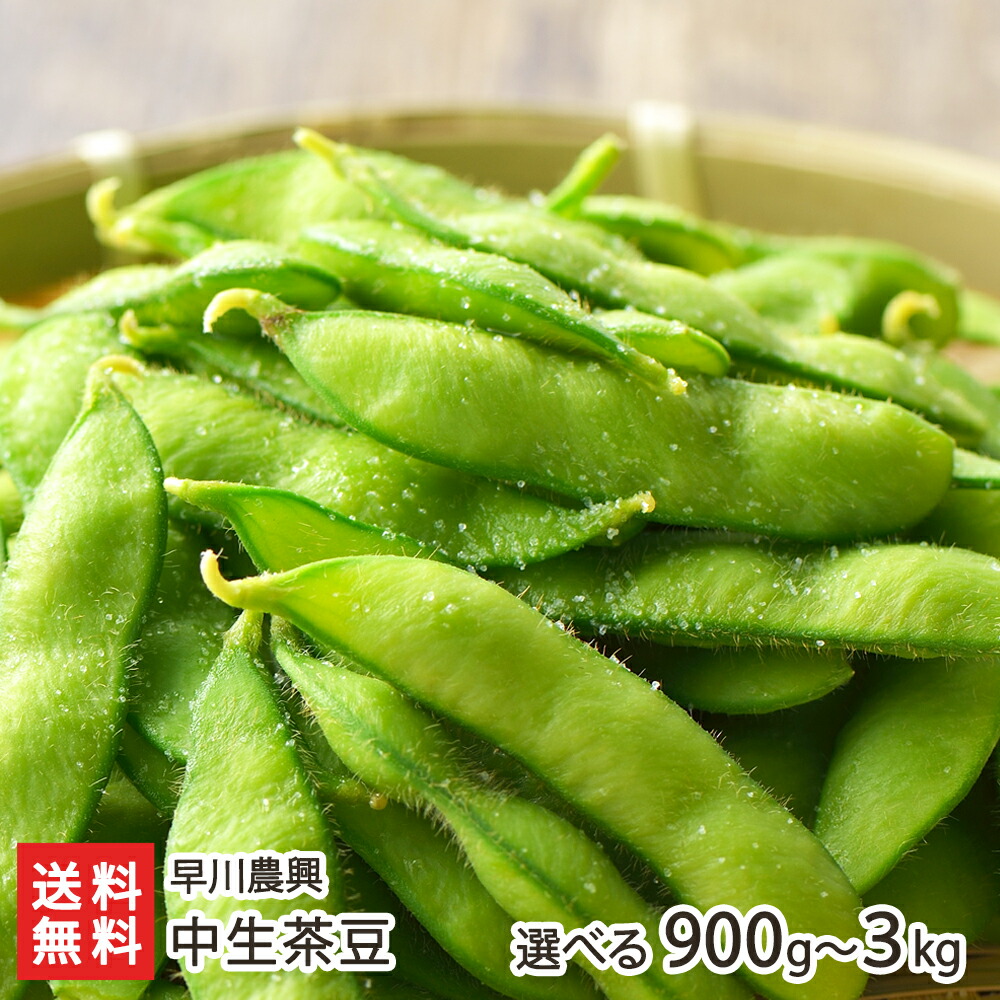 【makiminさん専用】新潟黒崎産枝豆 初だるまA品5キロ 初だるま｜枝豆の人気ブランド！甘くて美味しい枝豆の通販